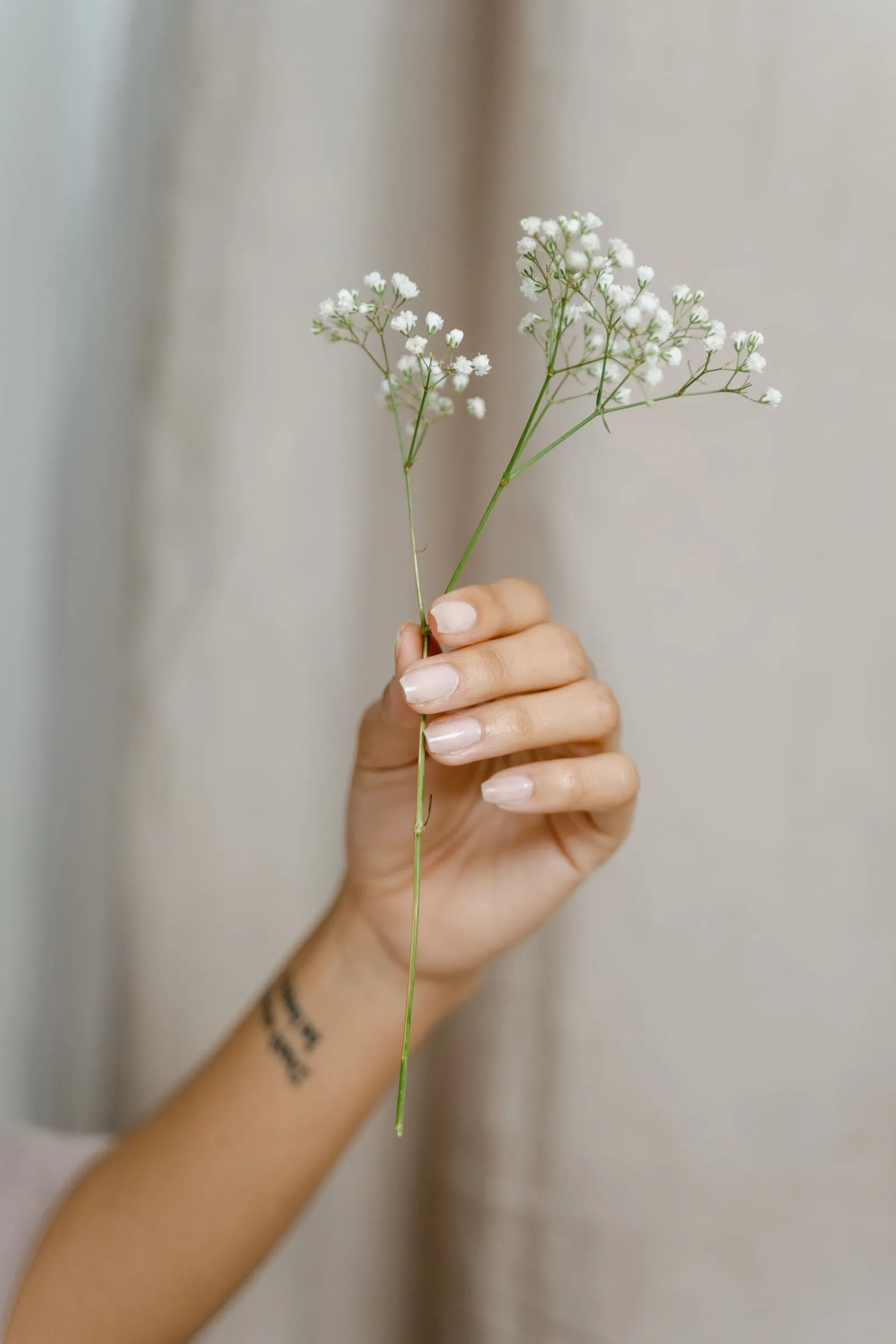 Dłoń po manicure na tle lnianej zasłony